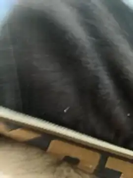 Bio-teacher online show from 23, 4, 2026