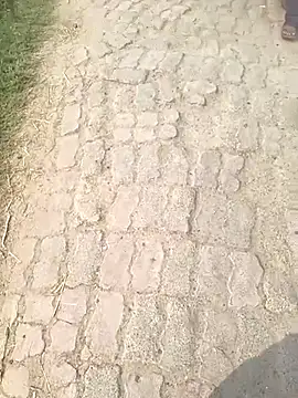 Bio-teacher online show from 12, 10, 2025