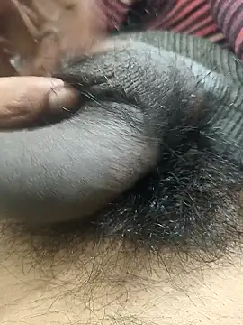 Bio-teacher online show from 19, 12, 2025