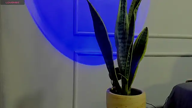 Ice Princess  online show from 2, 10, 2025