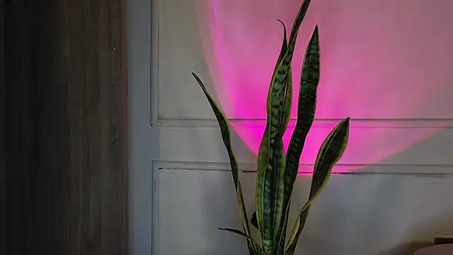 Ice Princess  online show from 3, 10, 2025