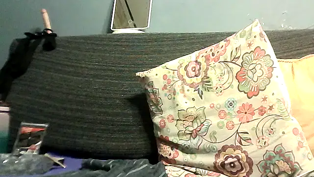 vanitafalcao online show from 3, 10, 2025