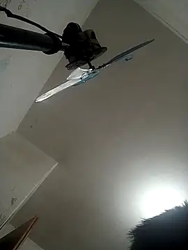 Ariihot online show from 12, 11, 2025