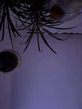 Jaropol online show from 10, 1, 2026