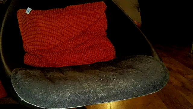 TobyDick13 online show from 23, 11, 2025