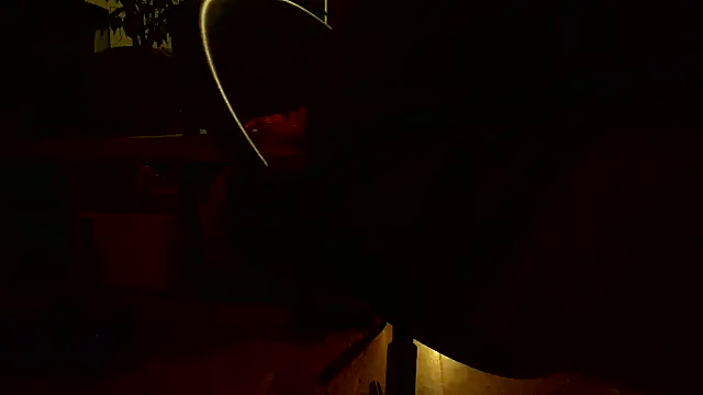 TobyDick13 online show from 28, 11, 2025