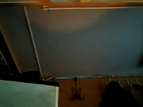 high3ndlowlife online show from 16, 12, 2025