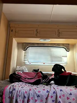 high3ndlowlife online show from 20, 11, 2025