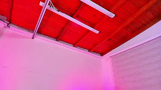 emma madi online show from 29, 9, 2025