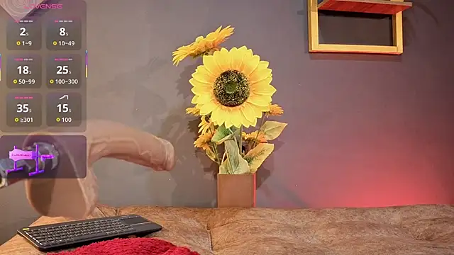 RACHELRUIZ online show from 10, 1, 2026