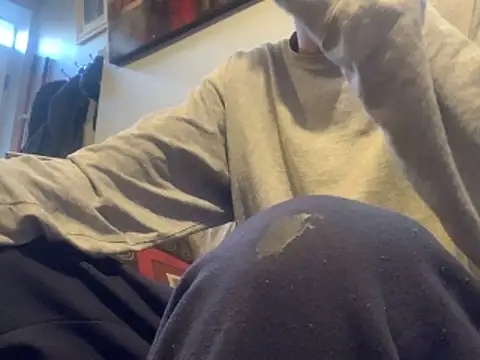 Insurance-03 online show from 21, 11, 2025