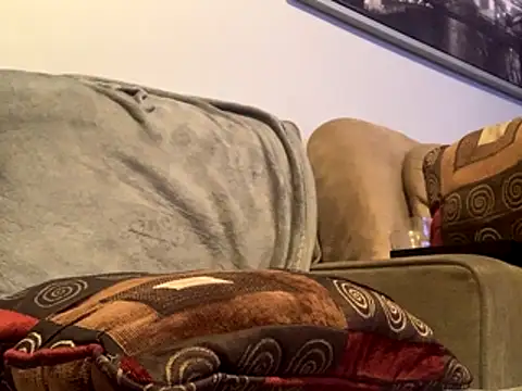 Insurance-03 online show from 15, 10, 2025