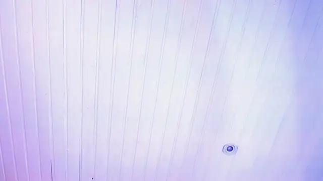 novaross online show from 8, 10, 2025