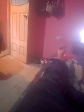 shessAz online show from 7, 2, 2026