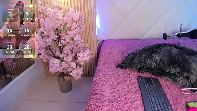 veronica hill  online show from 20, 6, 2026