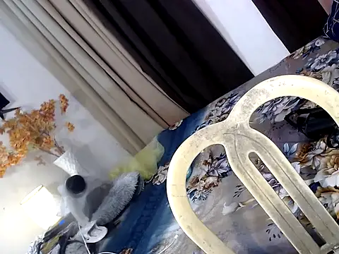 bhad karina online show from 14, 11, 2025