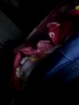 gaabpxn online show from 11, 11, 2025