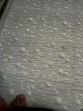 NoddingScorpion online show from 7, 11, 2025