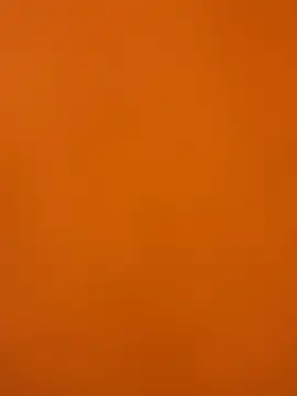 XanderOzzz online show from 2, 12, 2025