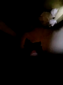 Snapshot of Vizgeboys chatting on 16, 10, 2025 Vizgeboys online show from 16, 10, 2025