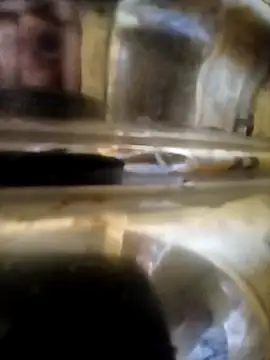 Snapshot of Vizgeboys chatting on 6, 10, 2025 Vizgeboys online show from 6, 10, 2025