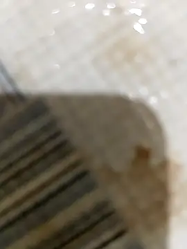 Jcj bhabi online show from 29, 9, 2025