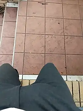 shebeshid online show from 11, 3, 2026