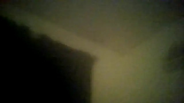 Rootpass222 online show from 11, 7, 2026