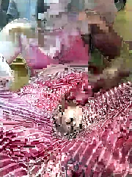 Gopika Dudi online show from 28, 2, 2026