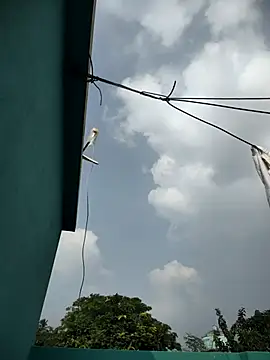 Odiya dick01 online show from 24, 10, 2025