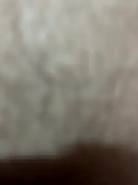 Telugu sex  online show from 27, 11, 2025