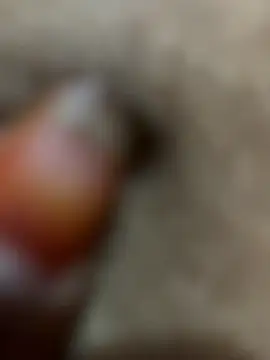 Telugu sex  online show from 23, 11, 2025