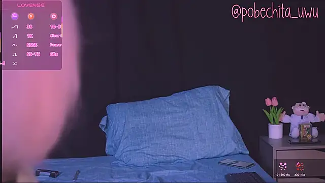 Pobechita online show from 8, 2, 2026