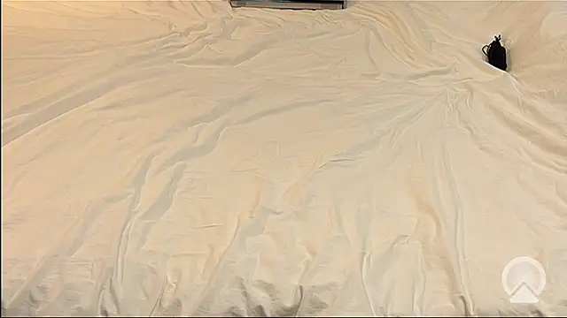 myPriority01 online show from 9, 1, 2026