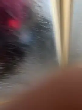 LicitInvader online show from 12, 2, 2026