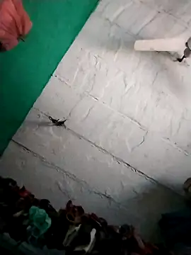 Sexi savita online show from 10, 10, 2025