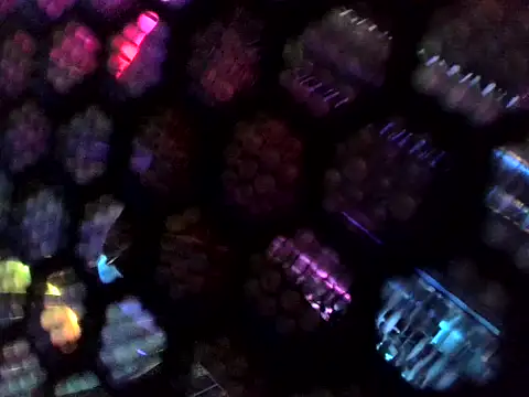 Wyrolowanyyy online show from 15, 4, 2026