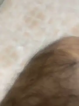 Binuthomas online show from 25, 11, 2025