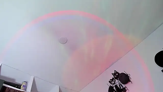 dex 55 online show from 29, 4, 2026