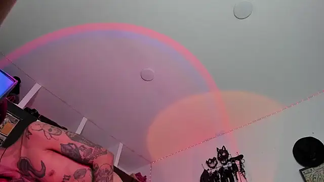 dex 55 online show from 11, 4, 2026