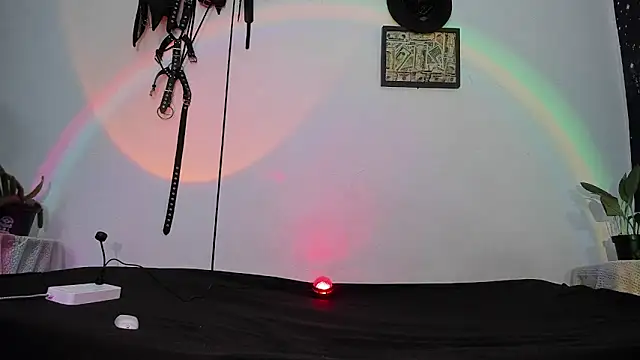 dex 55 online show from 12, 5, 2026