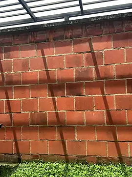 Andrew Johnnson online show from 24, 10, 2025