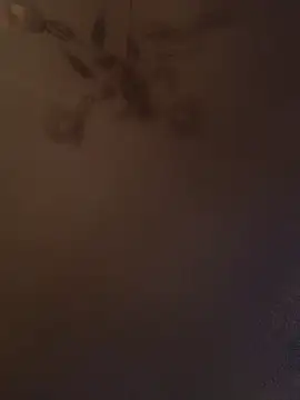 Cassandrina1 online show from 15, 9, 2025