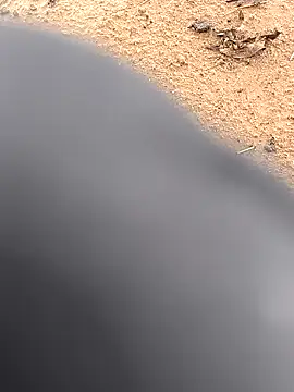 Snapshot of rajdehli chatting on 2, 10, 2025 rajdehli online show from 2, 10, 2025