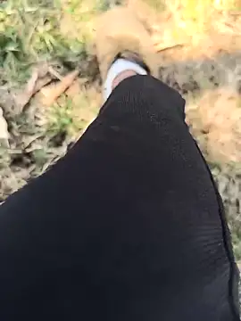 rajdehli online show from 3, 4, 2026