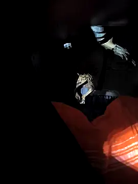 rajdehli online show from 18, 4, 2026