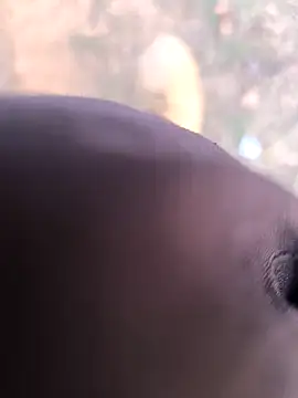 rajdehli online show from 26, 3, 2026