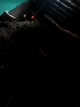 Suhana pandit online show from 29, 9, 2025