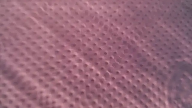 Liz Hu online show from 9, 10, 2025