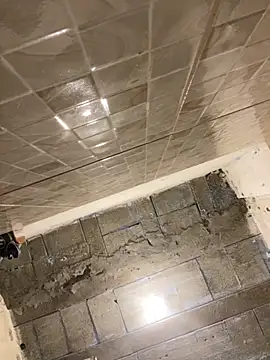 danixayume01 online show from 25, 11, 2025